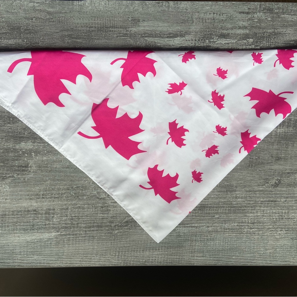 Girl Guides of Canada - SPARKS tie bandana. Excellent condition.